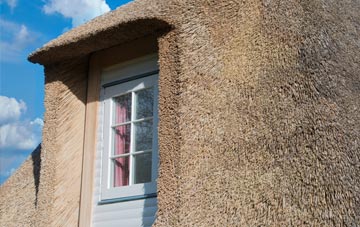 Sascott thatch roof disadvantages